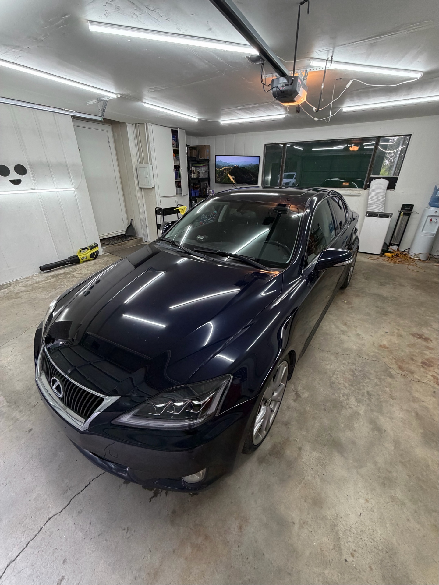 Lexus IS Paint Correction