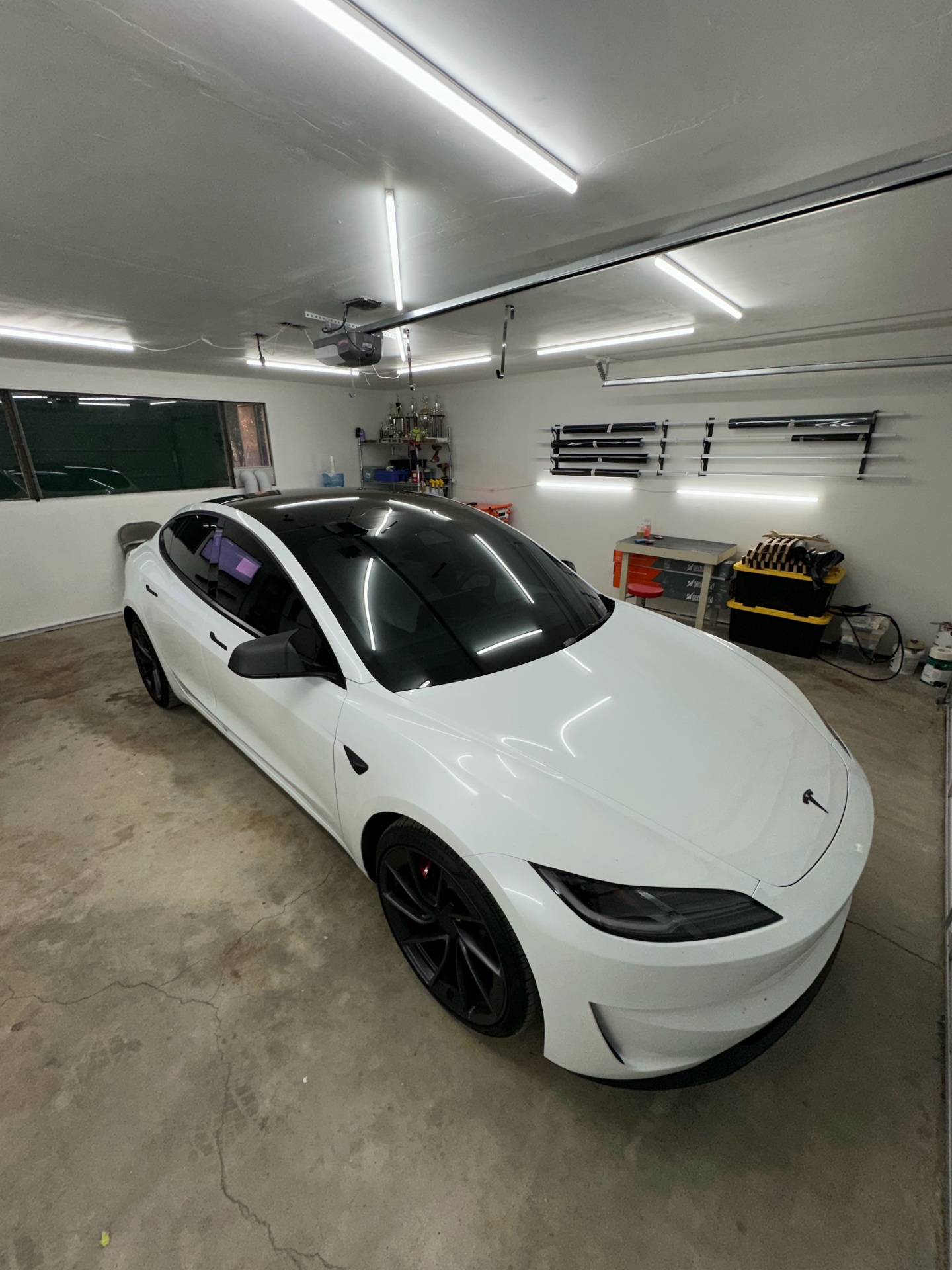 Tesla Model 3 Window Tint